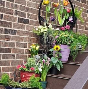 Meet your Posher, Roberta